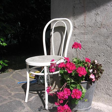 B&B Bosco Fiorito Malgesso Exterior photo